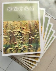 排排种两棵